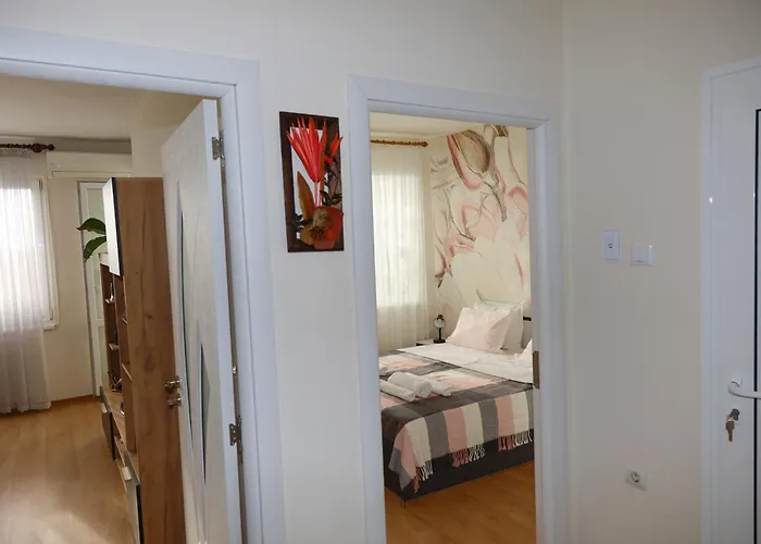 Magnolia بورغاس